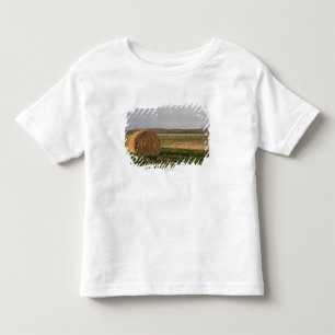 Camiseta Infantil Pacotes de feno em um campo com as montanhas no