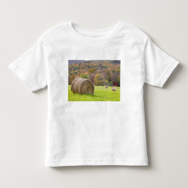 Camiseta Infantil Pacotes e folhagem de outono de feno na fazenda, (Frente)