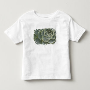 Camiseta Infantil Padrão de cacto