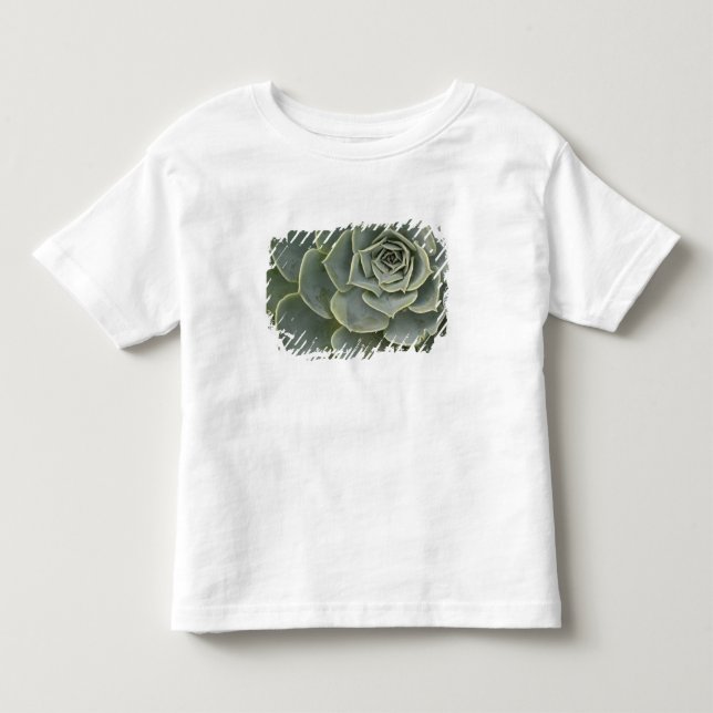 Camiseta Infantil Padrão de cacto (Frente)