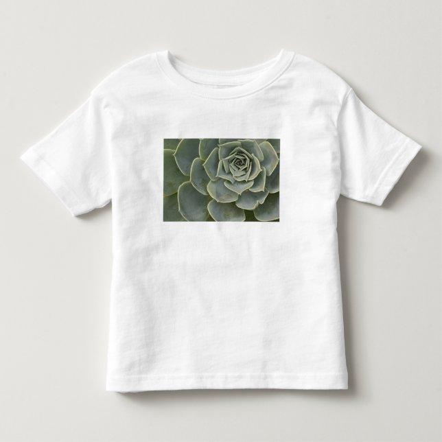 Camiseta Infantil Padrão de cacto (Frente)