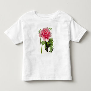 Camiseta Infantil Paeonia Moutan, c.1799