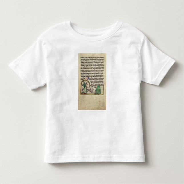Camiseta Infantil Página de Roy do texto com ilustração de (Frente)