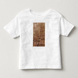 Camiseta Infantil Painel de uma ameia