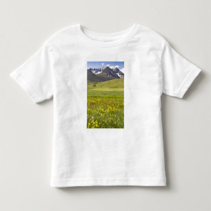 Camiseta Infantil Paisagem cênica do vale de Svarfadardalur