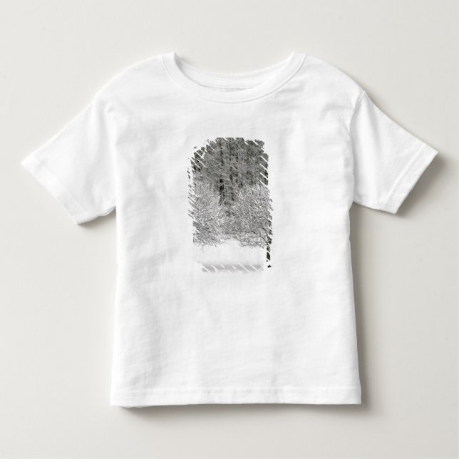Camiseta Infantil Paisagem coberto de neve (Frente)