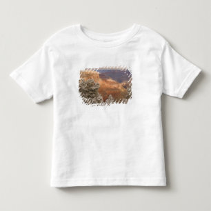 Camiseta Infantil Paisagem de inverno cêntrico de neve ao sul