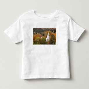 Camiseta Infantil Paisagem de outono com igreja, Vermont, EUA