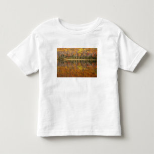 Camiseta Infantil Paisagem de outono com lago, Vermont, EUA