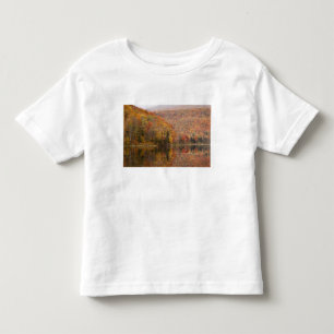 Camiseta Infantil Paisagem de outono com lago, Vermont, EUA 2
