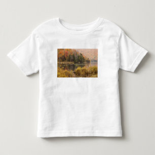 Camiseta Infantil Paisagem de outono com lago, Vermont, EUA 3