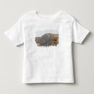 Camiseta Infantil Paisagem de rancho desértico perto de Monterey, Mé