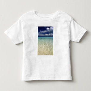 Camiseta Infantil Paisagem insular, Ilha Vava'u, Tonga