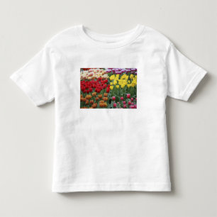 Camiseta Infantil Países Baixos, Jardins Keukenhoff, tulipas.