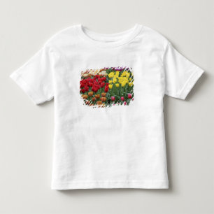 Camiseta Infantil Países Baixos, Jardins Keukenhoff, tulipas.