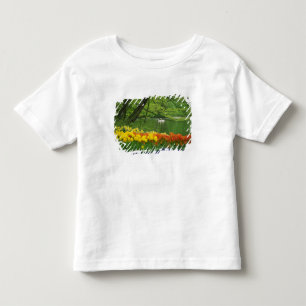 Camiseta Infantil Países Baixos, Lisse. Cisnes brancos no lago em me