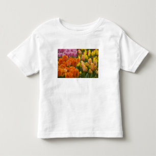 Camiseta Infantil Países Baixos (também conhecido como Holanda), Lis