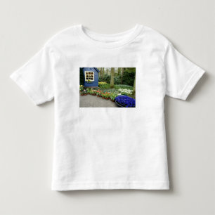 Camiseta Infantil Países Baixos (também conhecido como Holanda), Lis