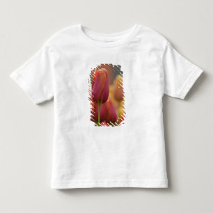 Camiseta Infantil Países Baixos (também conhecido como Holanda), Lis