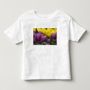Camiseta Infantil Países Baixos (também conhecido como Holanda), Lis