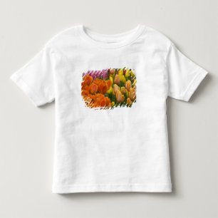 Camiseta Infantil Países Baixos (também conhecido como Holanda), Lis