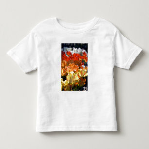 Camiseta Infantil Países Baixos (também conhecido como Holanda), Lis