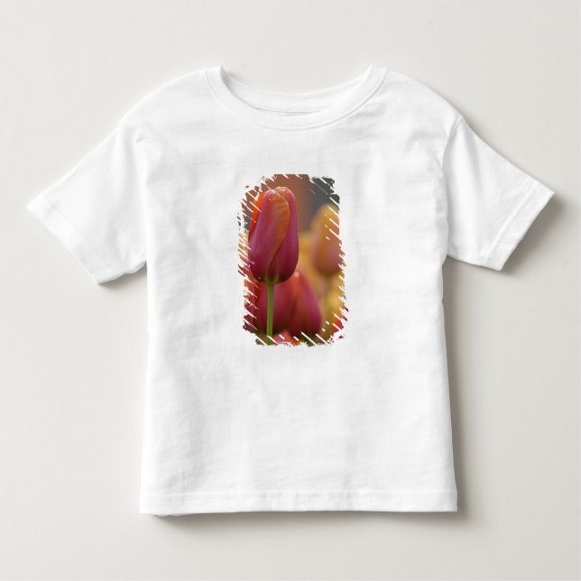 Camiseta Infantil Países Baixos (também conhecido por Holland), Liss (Frente)