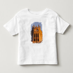 Camiseta Infantil Palacio de Comunicações, detalhe da torre, pôr do 