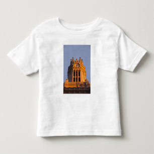 Camiseta Infantil Palacio de Comunicações, detalhe da torre, pôr do