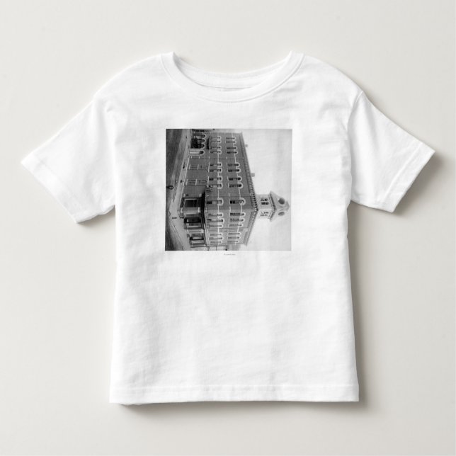 Camiseta Infantil Palha, fotografia da câmara municipal de South (Frente)