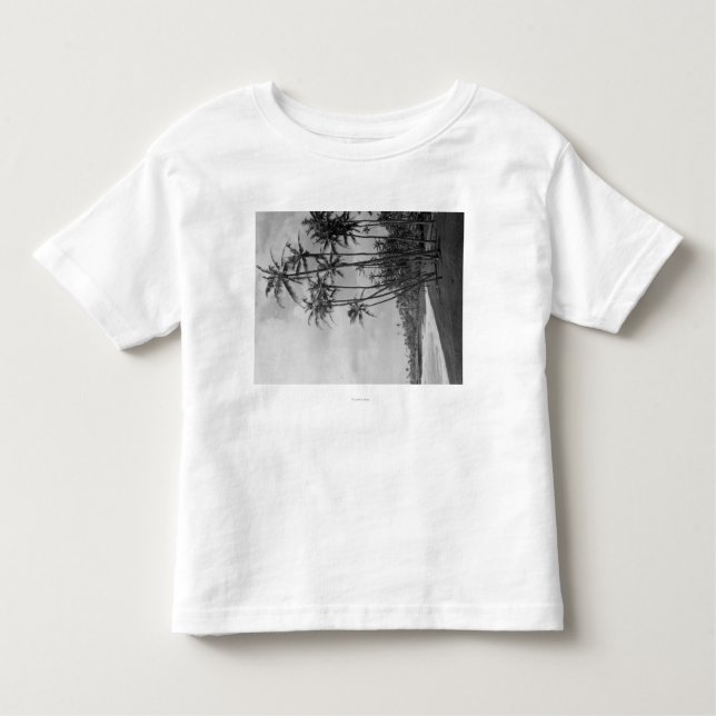 Camiseta Infantil Palmas de coco - fotografia das ilhas havaianas (Frente)