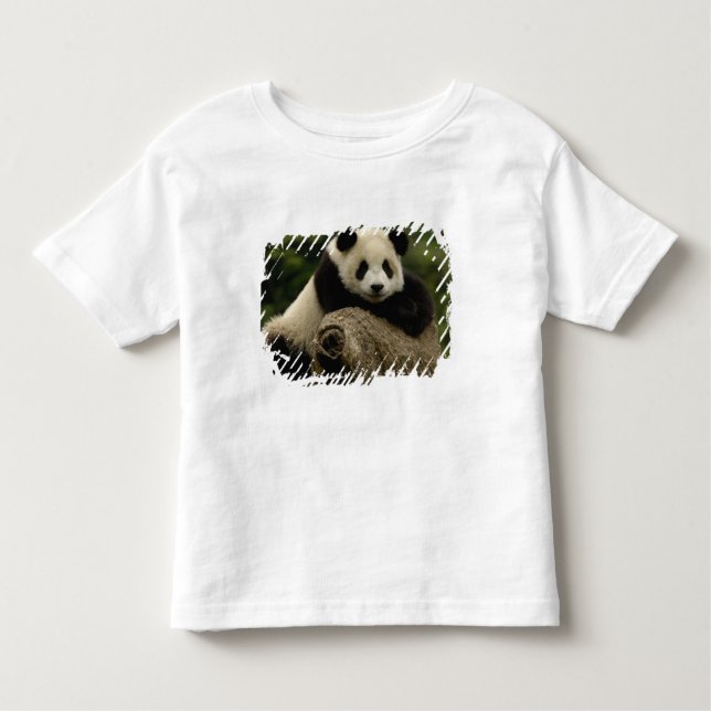 Camiseta Infantil Panda baby gigante Ailuropoda melanoleuca) (Frente)