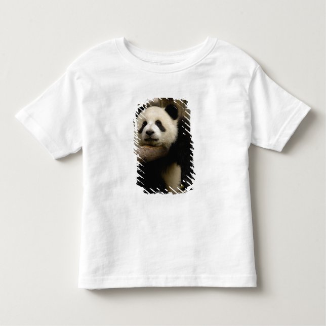 Camiseta Infantil Panda baby gigante Ailuropoda melanoleuca) (Frente)