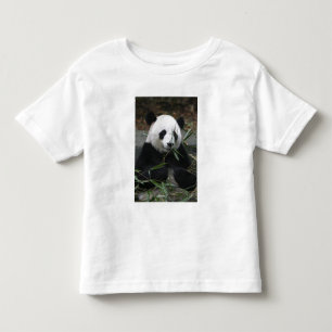Camiseta Infantil Panda-gigante