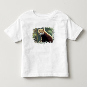Camiseta Infantil Panda Vermelho Ailurus fulgens)