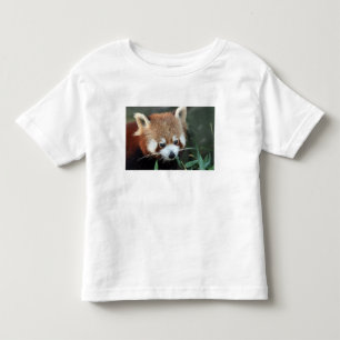 Camiseta Infantil Panda Vermelho, Taronga Zoo, Sydney, Austrália