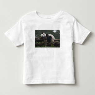 Camiseta Infantil Pandas gigantes na Proteção de Pandas Gigantes