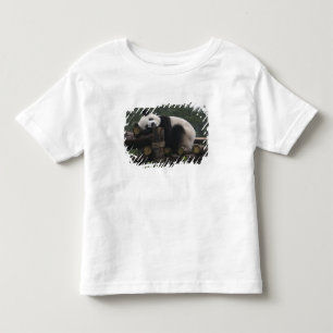Camiseta Infantil Pandas gigantes na proteção & nos 3 da panda