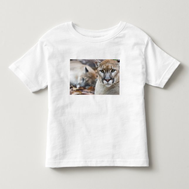 Camiseta Infantil Pantera da Flórida (Frente)