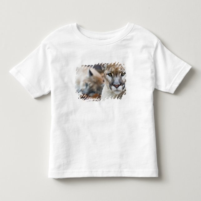 Camiseta Infantil Pantera da Flórida (Frente)
