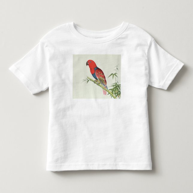 Camiseta Infantil Papagaio de Electus, em um tiro de bambu (Frente)