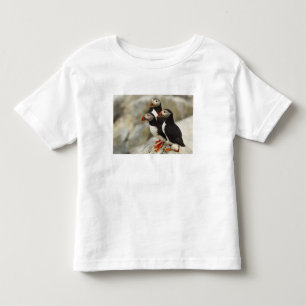 Camiseta Infantil Papagaios-do-mar no Machias Seal Island