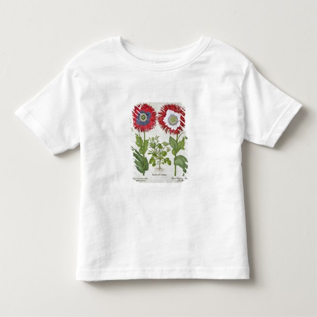 Camiseta Infantil Papoilas decorativas, 'do Hortus o Eystettensis (Frente)