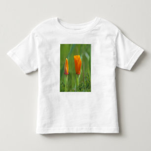 Camiseta Infantil Papoulas douradas da Califórnia em um campo verde