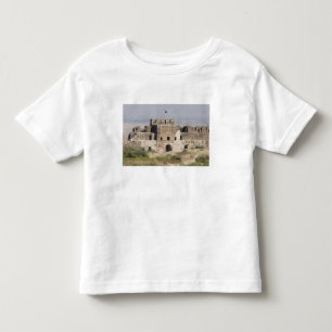 Camiseta Infantil Paquistão, Dina. Portão Talaqi visto a partir do