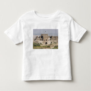 Camiseta Infantil Paquistão, Dina. Talaqi Gate, como visto pelo