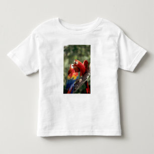 Camiseta Infantil Par de Araras-vermelhas