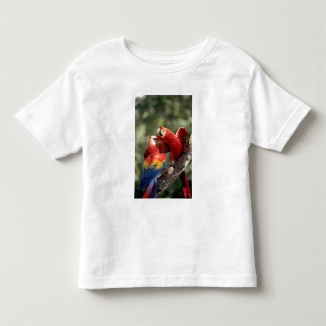 Camiseta Infantil Par de Araras-vermelhas (Frente)