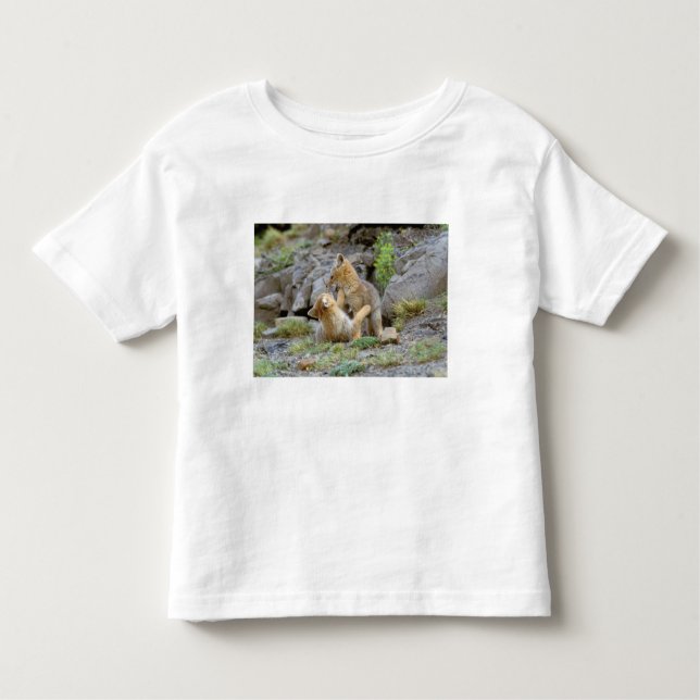 Camiseta Infantil Par de Cinzas da América do Sul (Lycalopex griseus (Frente)
