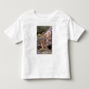 Camiseta Infantil Par de Raposa Cinzenta Sul-Americana (Lycalopex gr